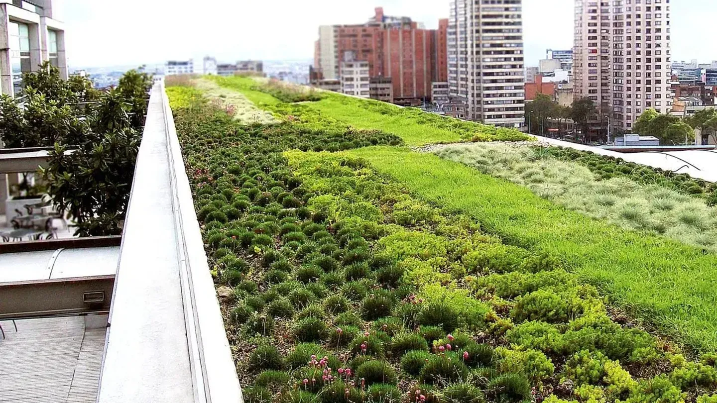 impermeabilizacion-cubierta-vegetal-ecologica-granada_11zon