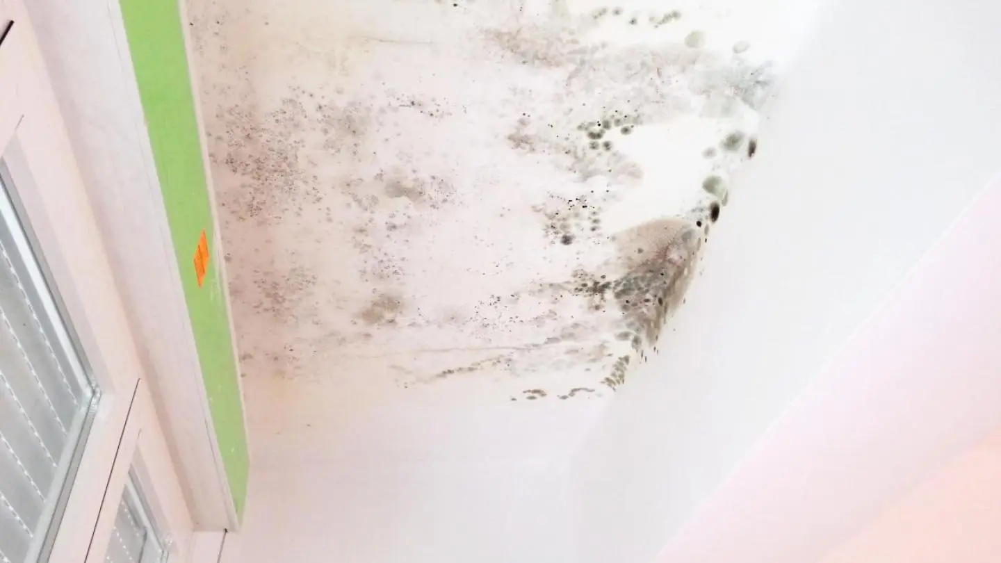 reparacion-de-goteras-en-granada